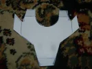 DSCN6817.webp