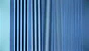 DSCN7506.webp