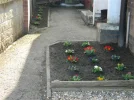 DSCN7558.webp
