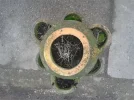 $_57.webp