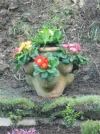 DSCN7569.webp