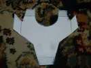 DSCN6817.webp