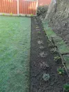 DSCN7522.webp