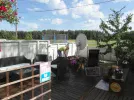 Garden 2.webp