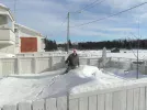 Garden 4.webp