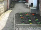DSCN7558.webp