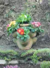 DSCN7569.webp