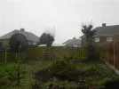 DSCN2909.webp