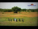 83e 001.webp