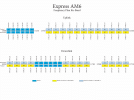 Express-AM6 Ku-band.gif
