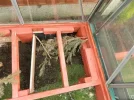 DSCN7711.webp