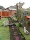 DSCN7750.webp