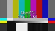 TC (230).webp