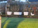 DSCN7752.webp