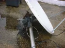 DSCF0105.webp