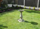 DSCN7879.webp