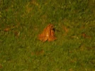 DSCN7893.webp