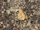 DSCN7896.webp