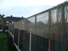 DSCN7953.webp
