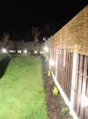 DSCN7978.webp