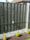 DSCN8011.webp