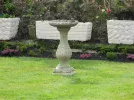 DSCN7871.webp