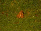 DSCN7893.webp