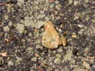 DSCN7896.webp
