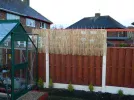 DSCN7917.webp