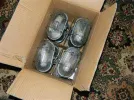 DSCN7955.webp