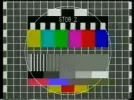 4.webp