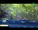 Yaban Tv.webp