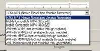 formats.webp