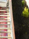 DSCN8148.webp