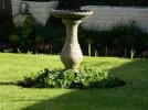 DSCN8436.webp