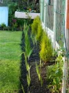 DSCN8441.webp
