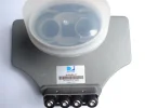 DSC04430.webp