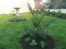 DSCN8543.webp