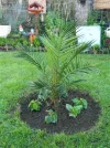 DSCN8544.webp