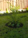 DSCN8545.webp