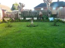 DSCN8549.webp