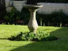 DSCN8436.webp