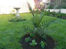 DSCN8543.webp