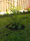 DSCN8545.webp