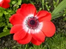 DSCN8713.webp