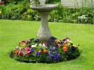 DSCN8715.webp