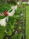 DSCN8718.webp