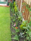 DSCN8719.webp