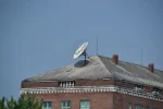 Buda_Dish.webp