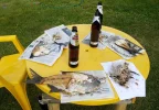 IMG_20150627_191000 (Large).webp IMG_20150627_191000 (Large).webp